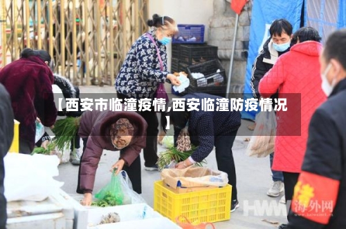 【西安市临潼疫情,西安临潼防疫情况】