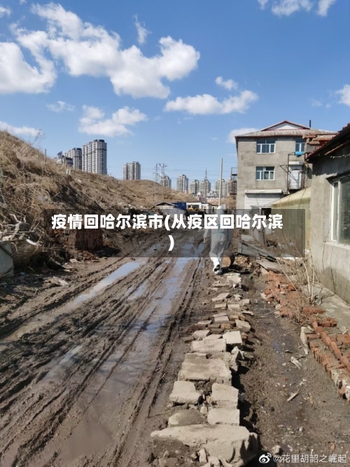 疫情回哈尔滨市(从疫区回哈尔滨)-第2张图片