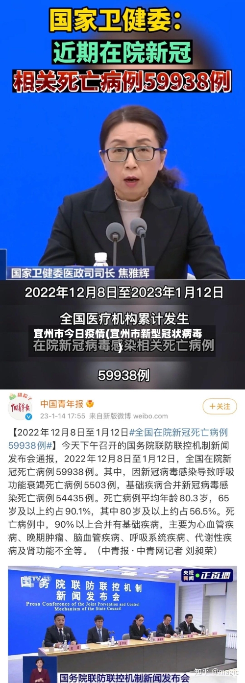 宜州市今日疫情(宜州市新型冠状病毒)