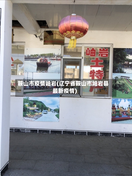 鞍山市疫情岫岩(辽宁省鞍山市岫岩县最新疫情)