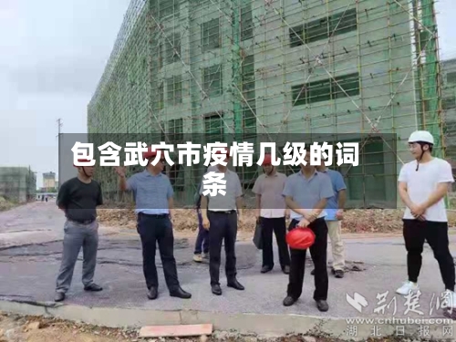 包含武穴市疫情几级的词条