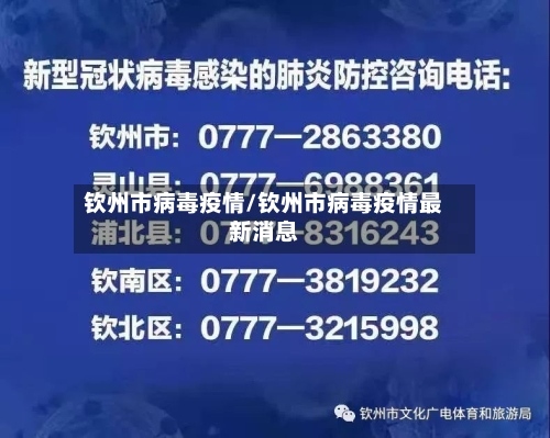 钦州市病毒疫情/钦州市病毒疫情最新消息-第2张图片