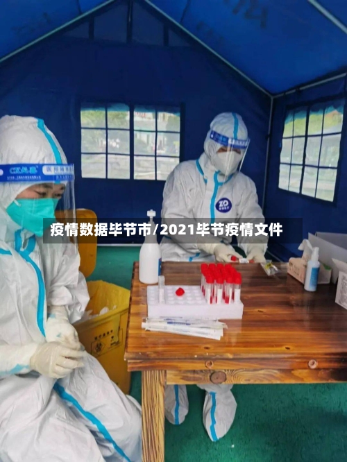 疫情数据毕节市/2021毕节疫情文件