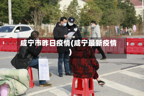 咸宁市昨日疫情(咸宁最新疫情)