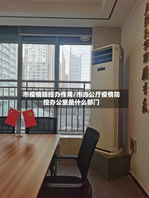 市疫情防控办作用/市办公厅疫情防控办公室是什么部门-第2张图片