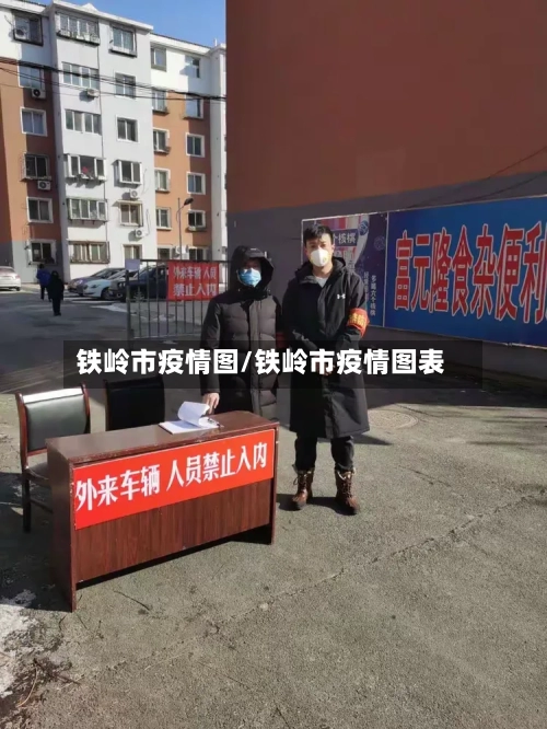 铁岭市疫情图/铁岭市疫情图表