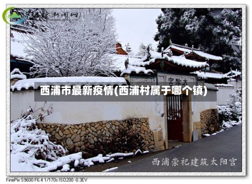 西浦市最新疫情(西浦村属于哪个镇)-第2张图片