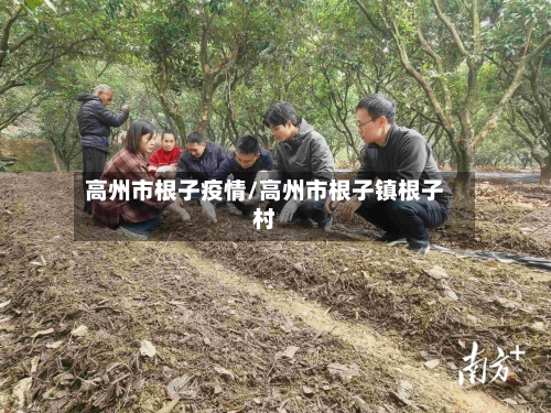 高州市根子疫情/高州市根子镇根子村