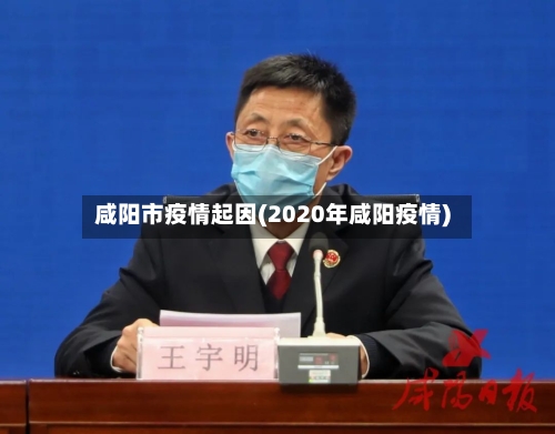 咸阳市疫情起因(2020年咸阳疫情)