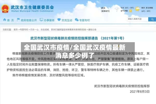 全国武汉市疫情/全国武汉疫情最新消息多少例了-第3张图片