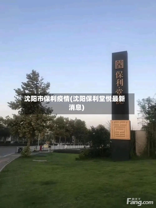 沈阳市保利疫情(沈阳保利堂悦最新消息)