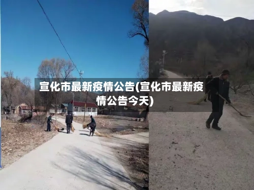 宣化市最新疫情公告(宣化市最新疫情公告今天)-第2张图片