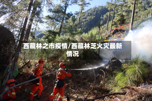 西藏林之市疫情/西藏林芝火灾最新情况