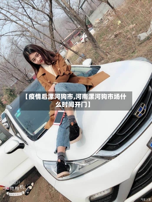 【疫情后漯河狗市,河南漯河狗市场什么时间开门】