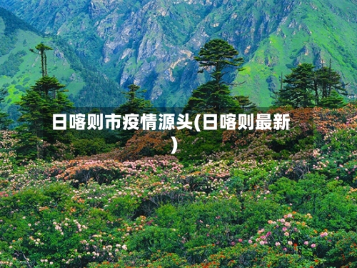 日喀则市疫情源头(日喀则最新)-第2张图片