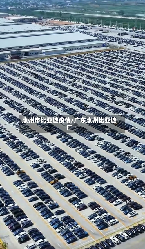 惠州市比亚迪疫情/广东惠州比亚迪厂