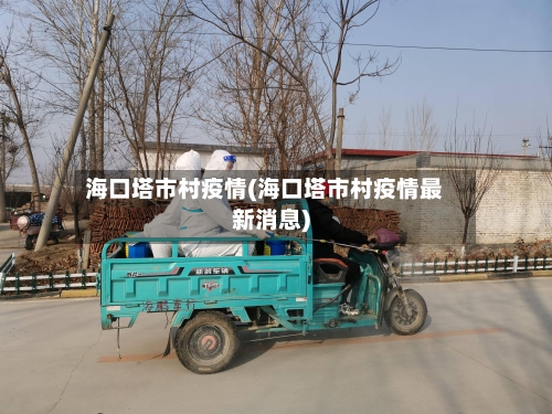 海口塔市村疫情(海口塔市村疫情最新消息)