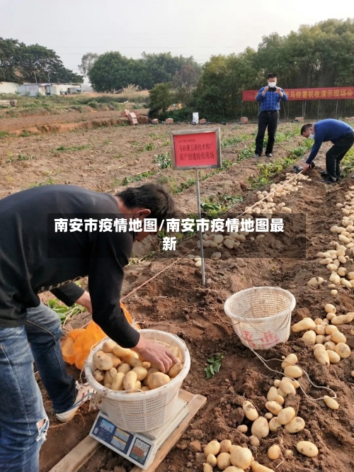 南安市疫情地图/南安市疫情地图最新-第2张图片