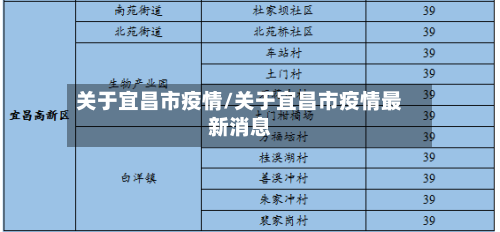 关于宜昌市疫情/关于宜昌市疫情最新消息-第3张图片