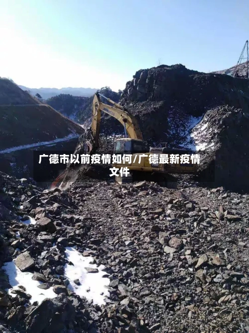 广德市以前疫情如何/广德最新疫情文件-第2张图片