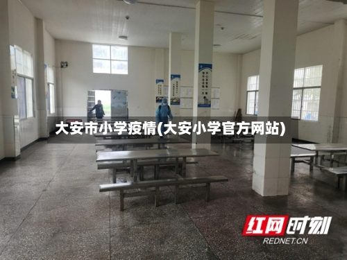 大安市小学疫情(大安小学官方网站)