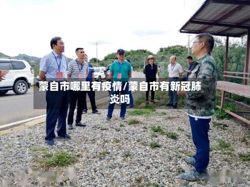 蒙自市哪里有疫情/蒙自市有新冠肺炎吗