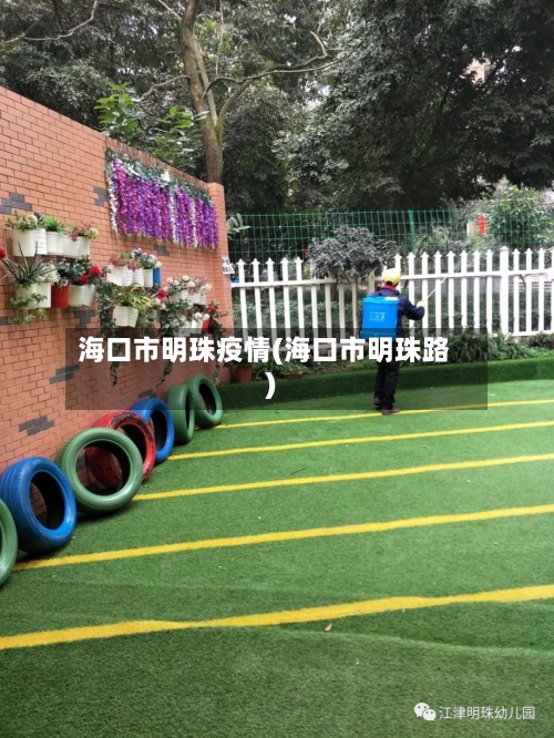 海口市明珠疫情(海口市明珠路)