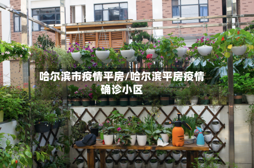 哈尔滨市疫情平房/哈尔滨平房疫情确诊小区