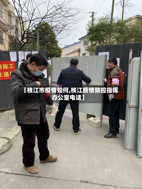 【枝江市疫情如何,枝江疫情防控指挥办公室电话】-第2张图片