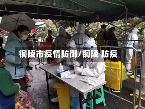 铜陵市疫情防御/铜陵 防疫-第2张图片
