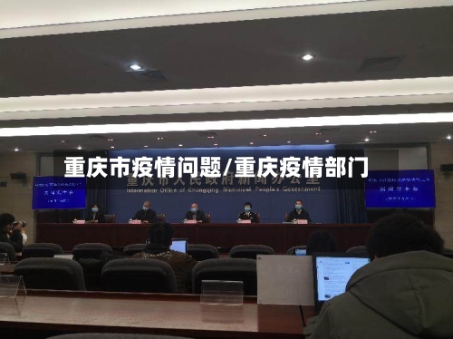 重庆市疫情问题/重庆疫情部门-第3张图片
