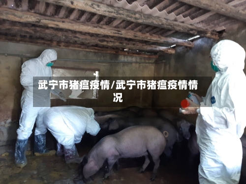 武宁市猪瘟疫情/武宁市猪瘟疫情情况