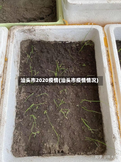 汕头市2020疫情(汕头市疫情情况)
