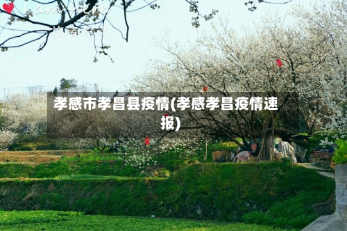 孝感市孝昌县疫情(孝感孝昌疫情速报)