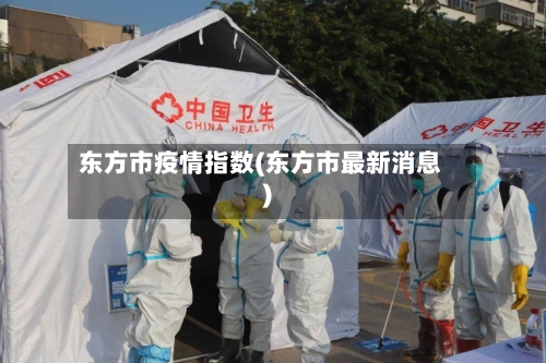 东方市疫情指数(东方市最新消息)-第2张图片