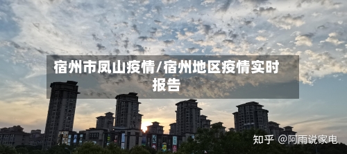 宿州市凤山疫情/宿州地区疫情实时报告