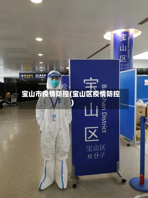 宝山市疫情防控(宝山区疫情防控)