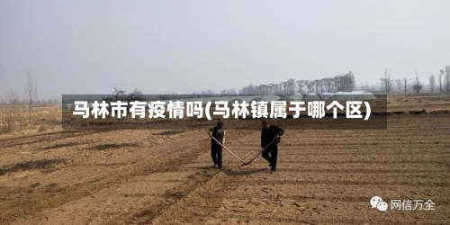 马林市有疫情吗(马林镇属于哪个区)