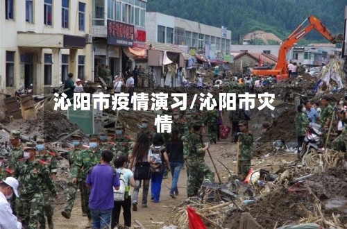 沁阳市疫情演习/沁阳市灾情