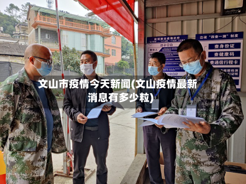 文山市疫情今天新闻(文山疫情最新消息有多少粒)