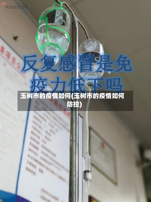 玉树市的疫情如何(玉树市的疫情如何防控)