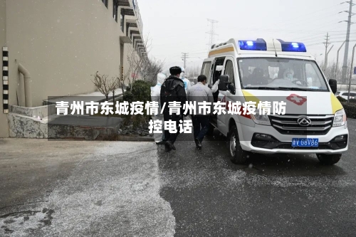 青州市东城疫情/青州市东城疫情防控电话-第2张图片