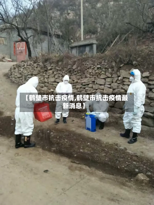 【鹤壁市抗击疫情,鹤壁市抗击疫情最新消息】-第3张图片