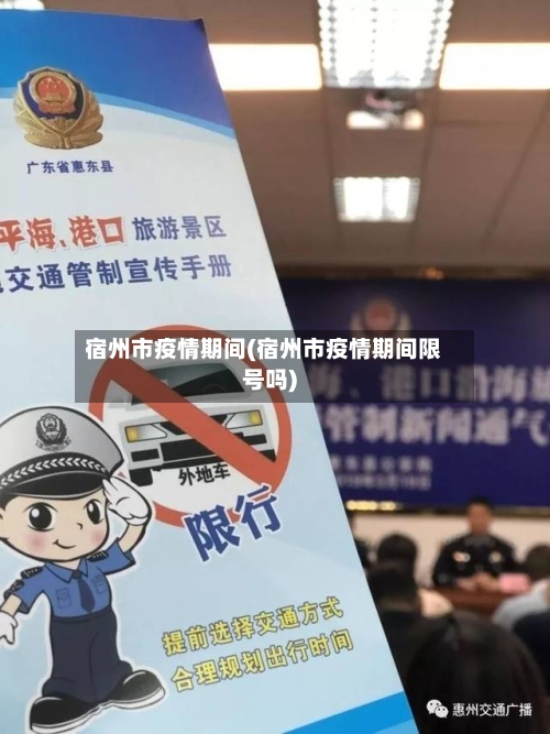 宿州市疫情期间(宿州市疫情期间限号吗)-第2张图片