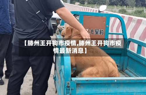 【滕州王开狗市疫情,滕州王开狗市疫情最新消息】
