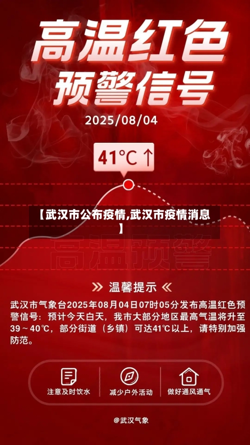 【武汉市公布疫情,武汉市疫情消息】