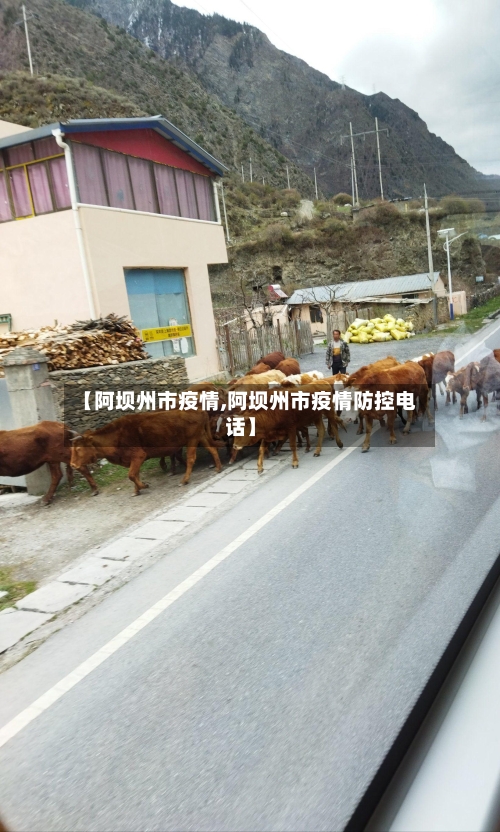 【阿坝州市疫情,阿坝州市疫情防控电话】