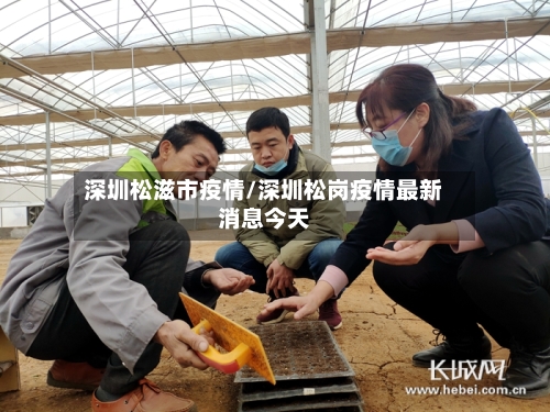 深圳松滋市疫情/深圳松岗疫情最新消息今天