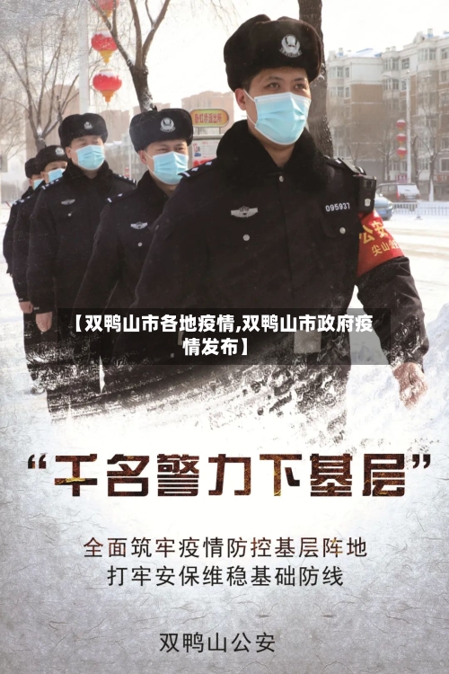 【双鸭山市各地疫情,双鸭山市政府疫情发布】-第2张图片