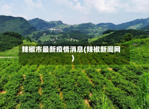 辣椒市最新疫情消息(辣椒新闻网)-第2张图片